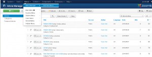 Joomla-3.0-How-to-link-the-category-to-the-Hidden-Menu-item5