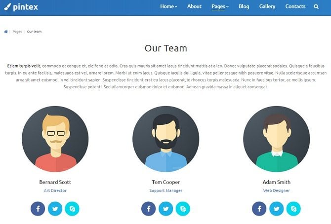 pintex-team-page