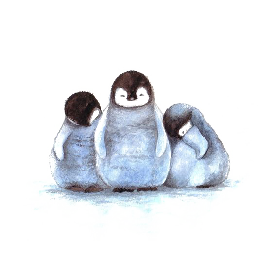 Three gray penguins