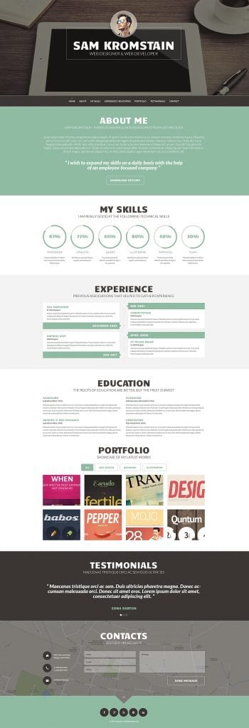 Web Geliştirici Portföy CV WordPress Teması