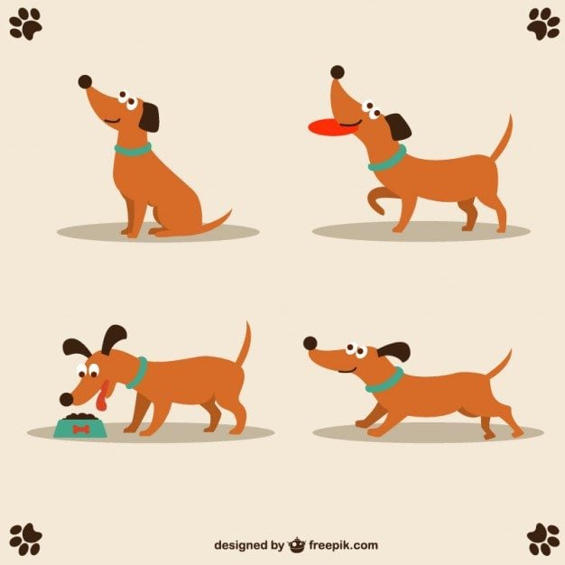 Dog-vector-cute-character-design