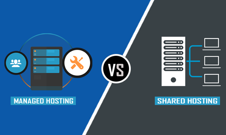 Featured image of post Shared Hosting And Wordpress Hosting : Which one is suitable for you?