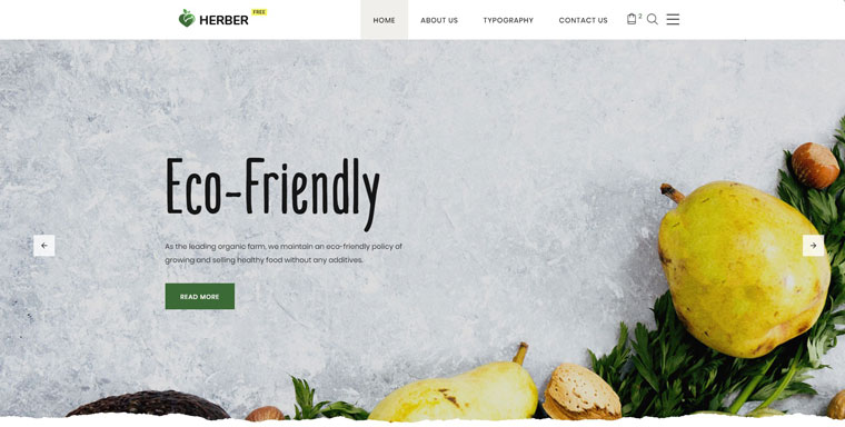 Free Website Template for Food Delivery Website Template.