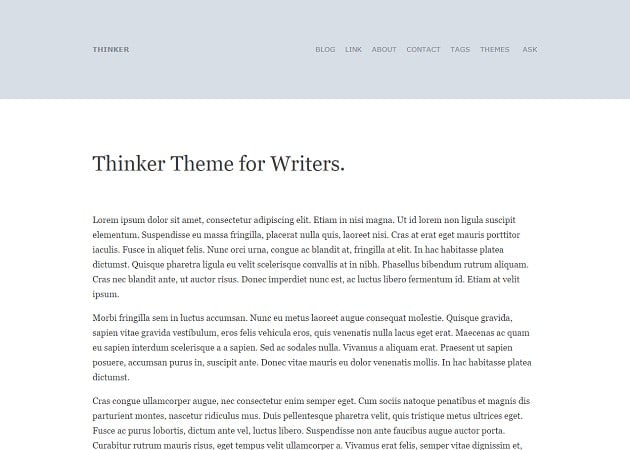 Thinker Theme for Writers