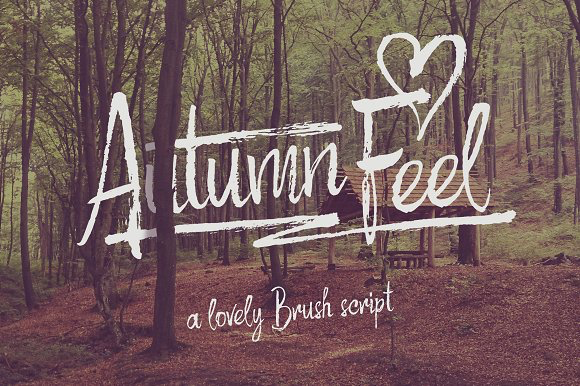 Autumn Feel Font