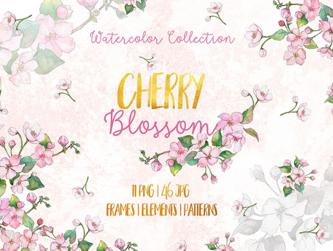 Cherry Blossoms Watercolor Png Illustration