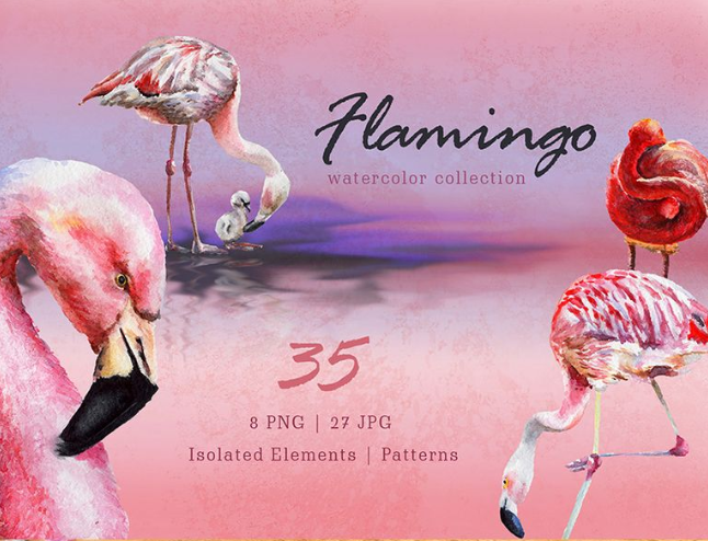 Flamingo Watercolor Png Illustration