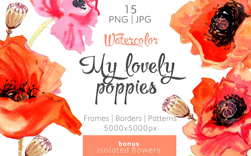My Lovely Poppies - PNG Watercolor Illustration