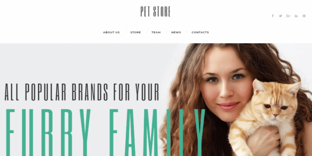 PetStore - Pets Supplies Shop Responsive WooCommerce Theme WooCommerce Theme