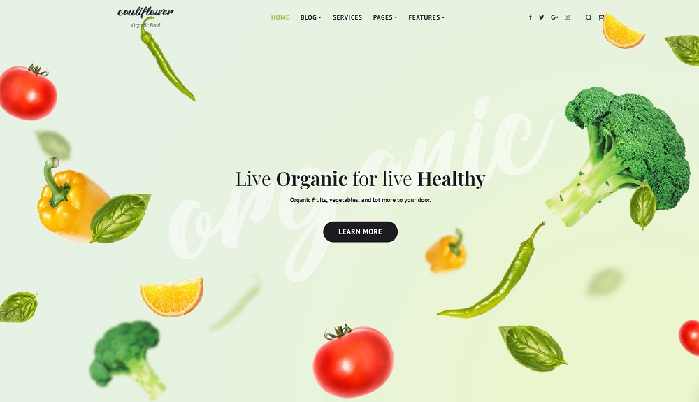 Cauliflower - Organic Food Blog Elementor WordPress Theme