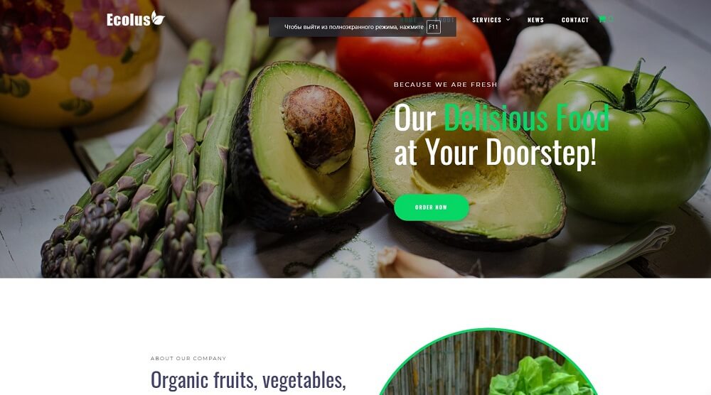 Ecolus - Organic Food Delivery ECommerce Modern Elementor WordPress Theme