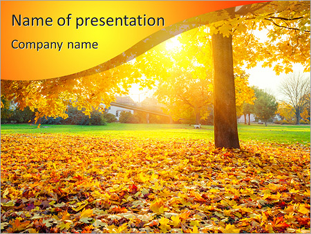 Autumn Park PowerPoint Template & Infographics Slides