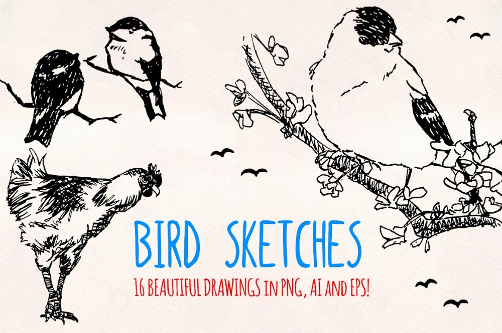 16 Inked Bird Sketch Elements - Owls, Ducks and Songbird Illustration