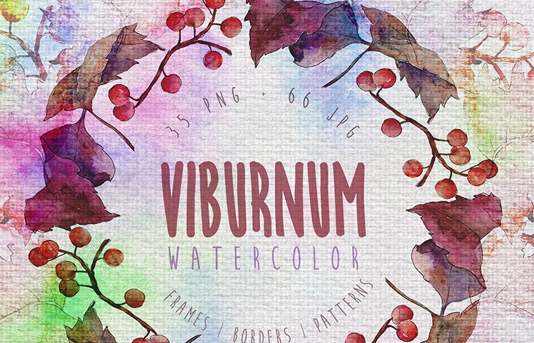 Autumn Viburnum Leaf PNG Watercolor Set Illustration