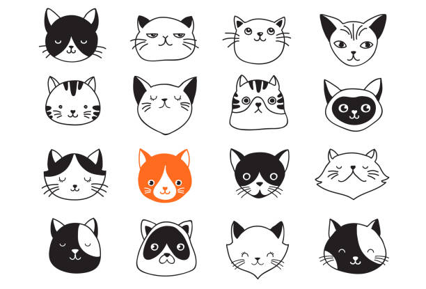 Cat Illustrations For Any Purpose