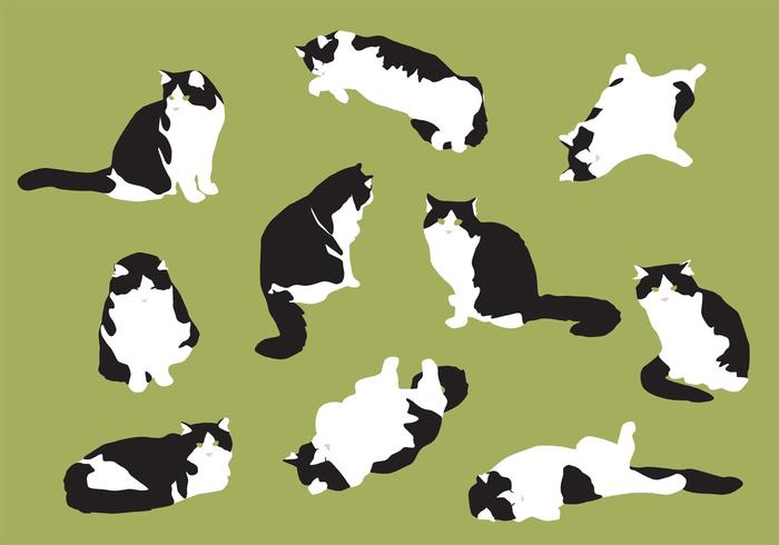 Cat Illustrations For Any Purpose