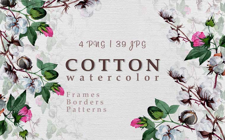 Cool Cotton PNG Watercolor botanical Illustrations