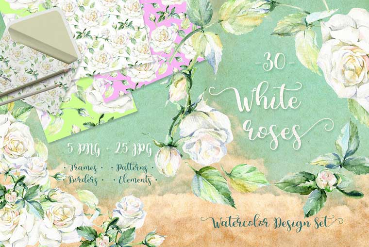 Delicate White Roses PNG Watercolor Set Illustration