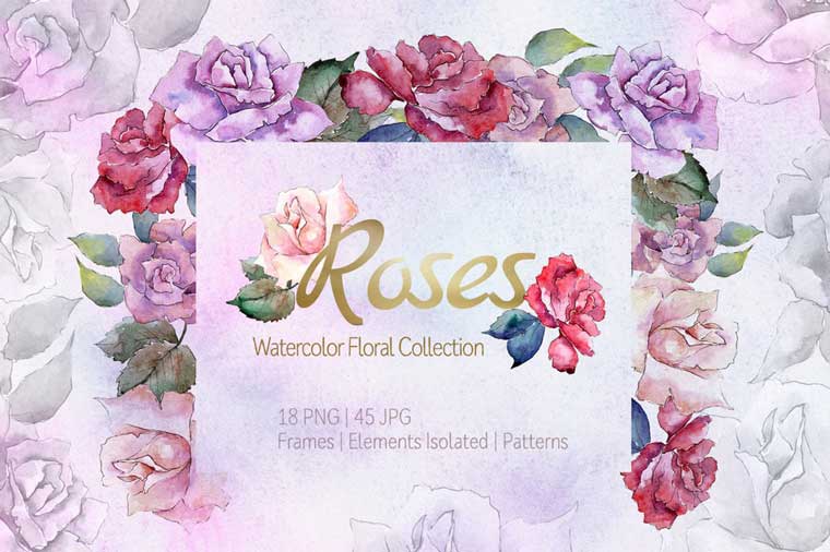 Roses Watercolor Png Illustration