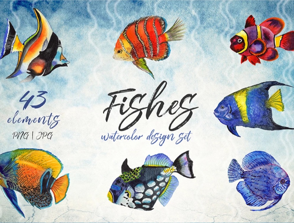 Sea Fishes PNG Watercolor Set Illustration