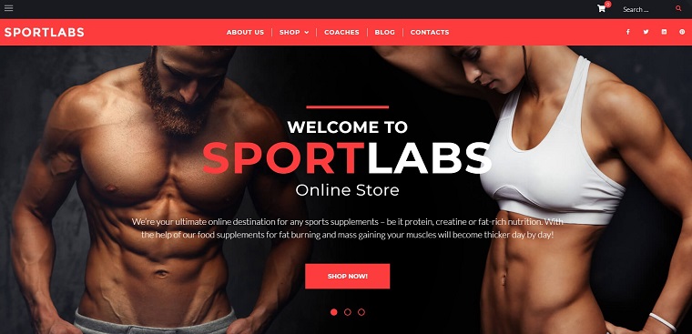 SportLabs - Sport Nutrition WooCommerce Theme.