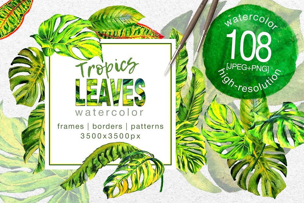 Tropics Leaves Monstera - PNG Watercolor Illustration