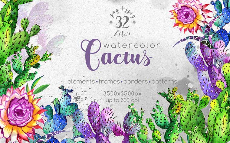 Watercolor Cactuses - PNG Wildflower Illustration.