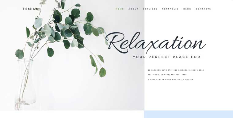 Femius - Massage Salon Ready-to-Use Minimal Elementor WordPress Theme