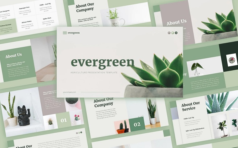 Evergreen Minimalist Presentation PowerPoint Template