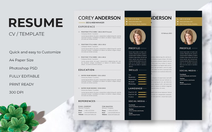 Modern Profe﻿ssional Curriculum Resume Template