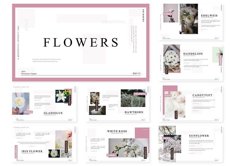 Flowers | PowerPoint Template