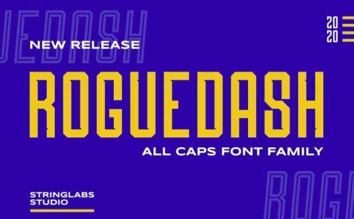 Roguedash - Stylish Sans Family Font
