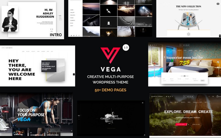 Elegant Vega WordPress Theme