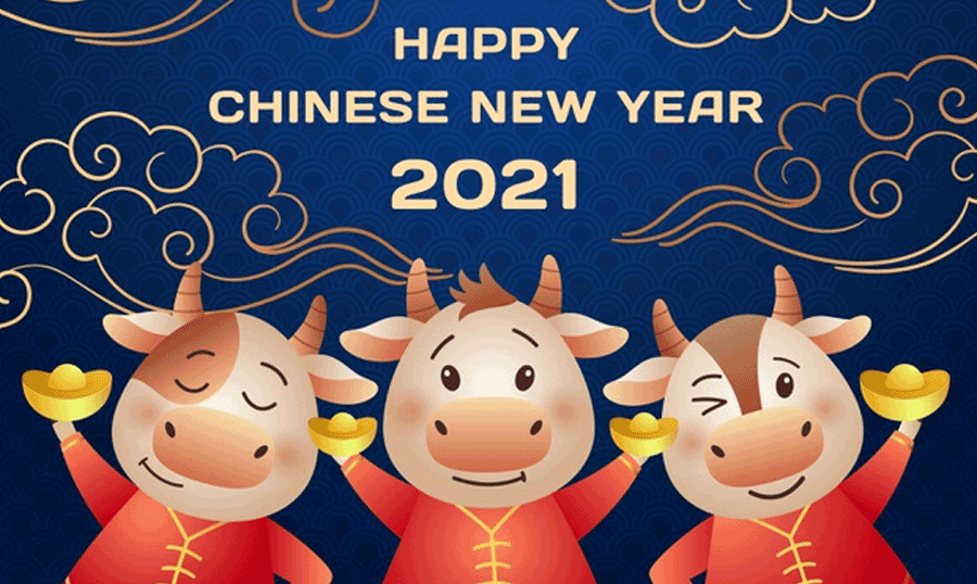 chinese-new-year-design