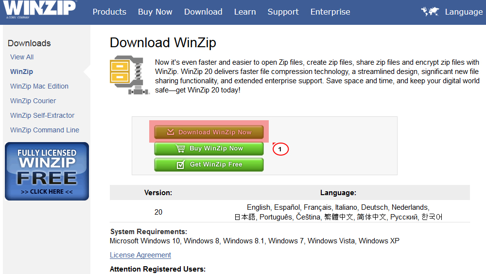 download winzip rar for windows 10 free