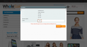 magento_how_to_use_translation_tool_6