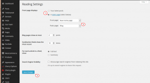 WordPress.How_to_replace_home_blog_page_with_custom_page_4