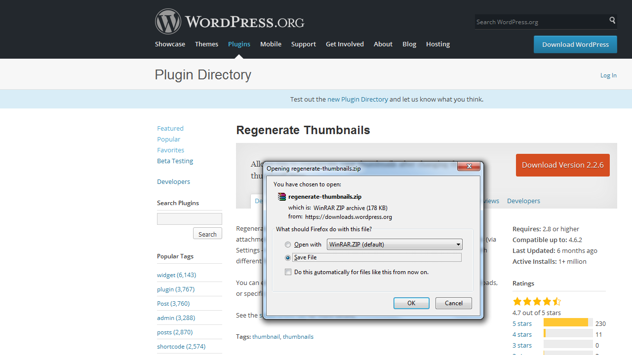 WordPress Troubleshooter. How to install plugins manually_2