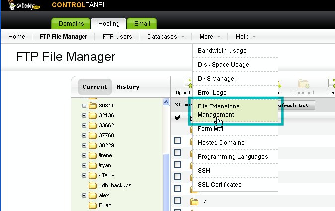 Hosts manager. DELPHI FTP файловый менеджер. File Managers FTP. Input file specified. Get_file.