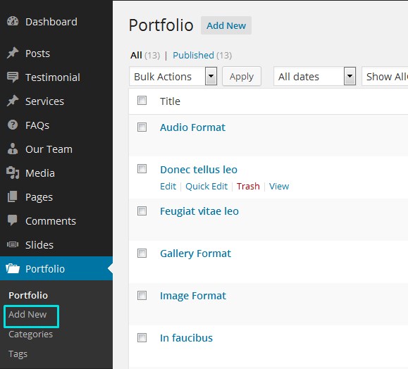 portfolio format