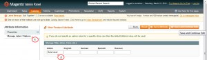 magento_new_and_sale_attributes_adding_5