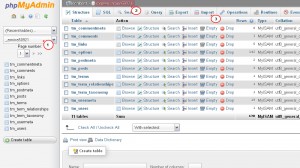wordpress_how_to_change_database_table_prefix_in_sql_file6
