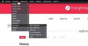 Drupal-7.x.-How-to-manage-Blog-categories-2
