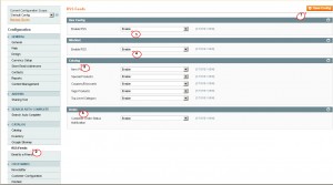 Magento. How to set up RSS feed2