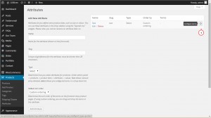 WooCommerce.How-to-manage-attributes--3