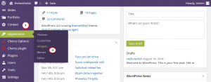 Wordpress.How_to_work_with_meta_widget_2