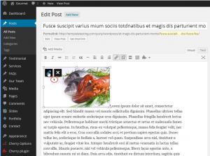 WordPress-How_to_wrap_text_around_the_image-3
