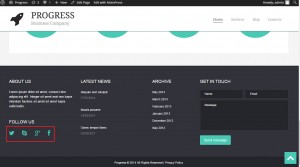 WordPress. How to work with the social icons (based on Cherry options)-1