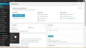 WordPress. Cherry widgets overview-1