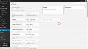 WordPress. Cherry widgets overview-4